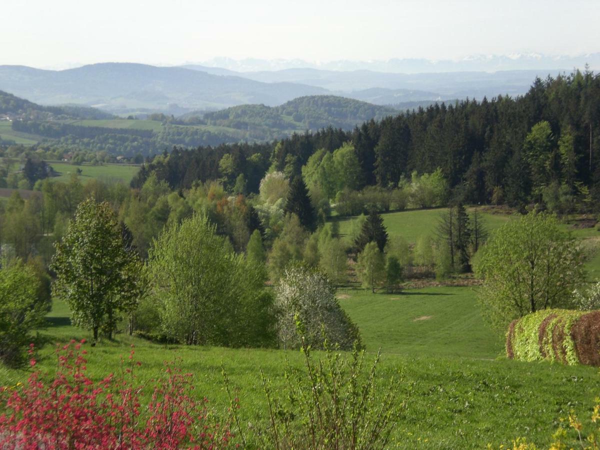 Ferienwohnungen Pichler Hohenau Esterno foto